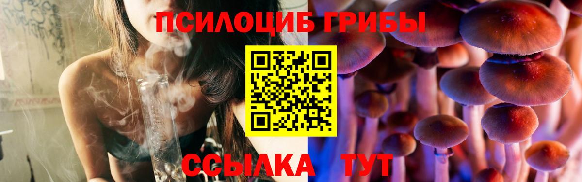 Галлюциногенные грибы GOLDEN TEACHER  Галлюциногенные грибы ЛСД  Вход с VPN  Вязьма 